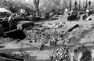 Excavation at Abbott Farm